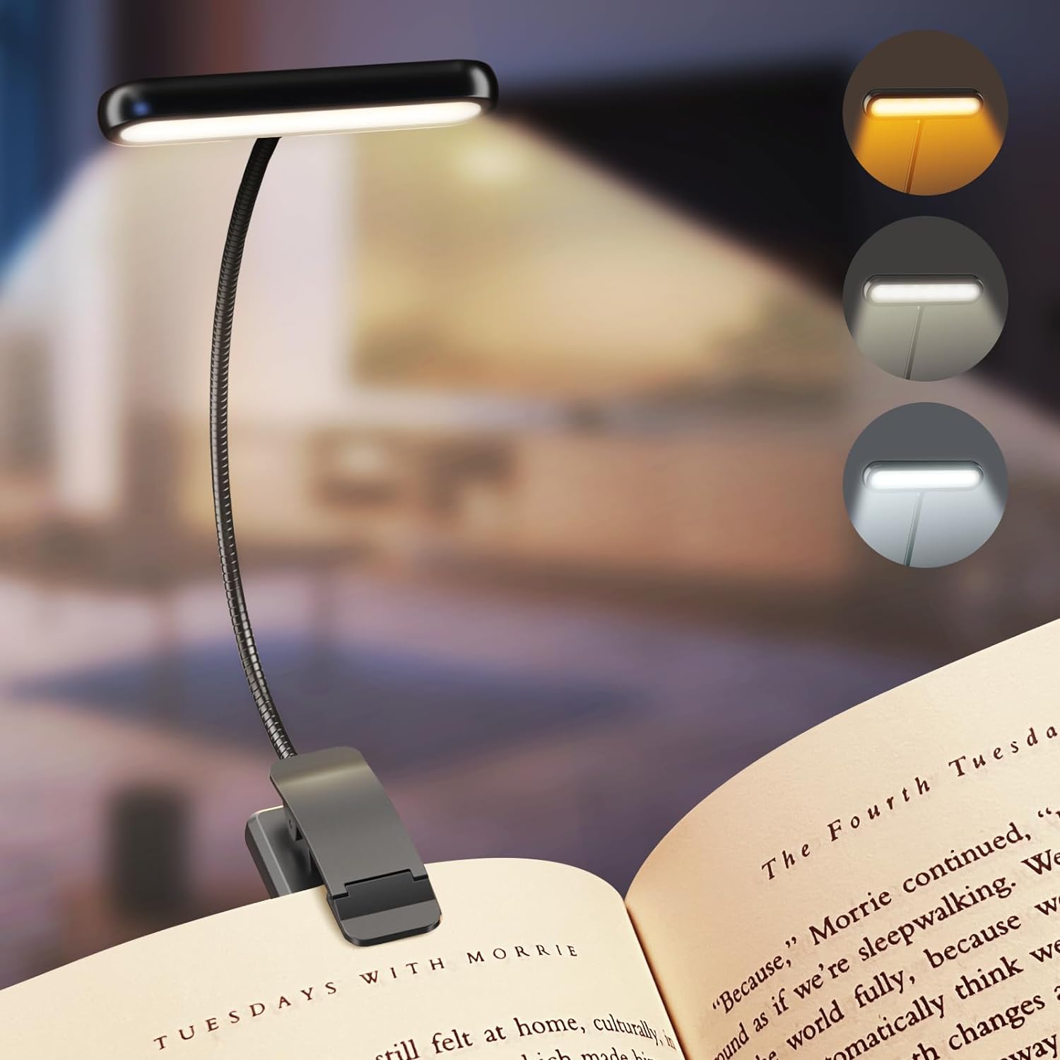 Photography Lighting Book - Led livro luz de leitura olho