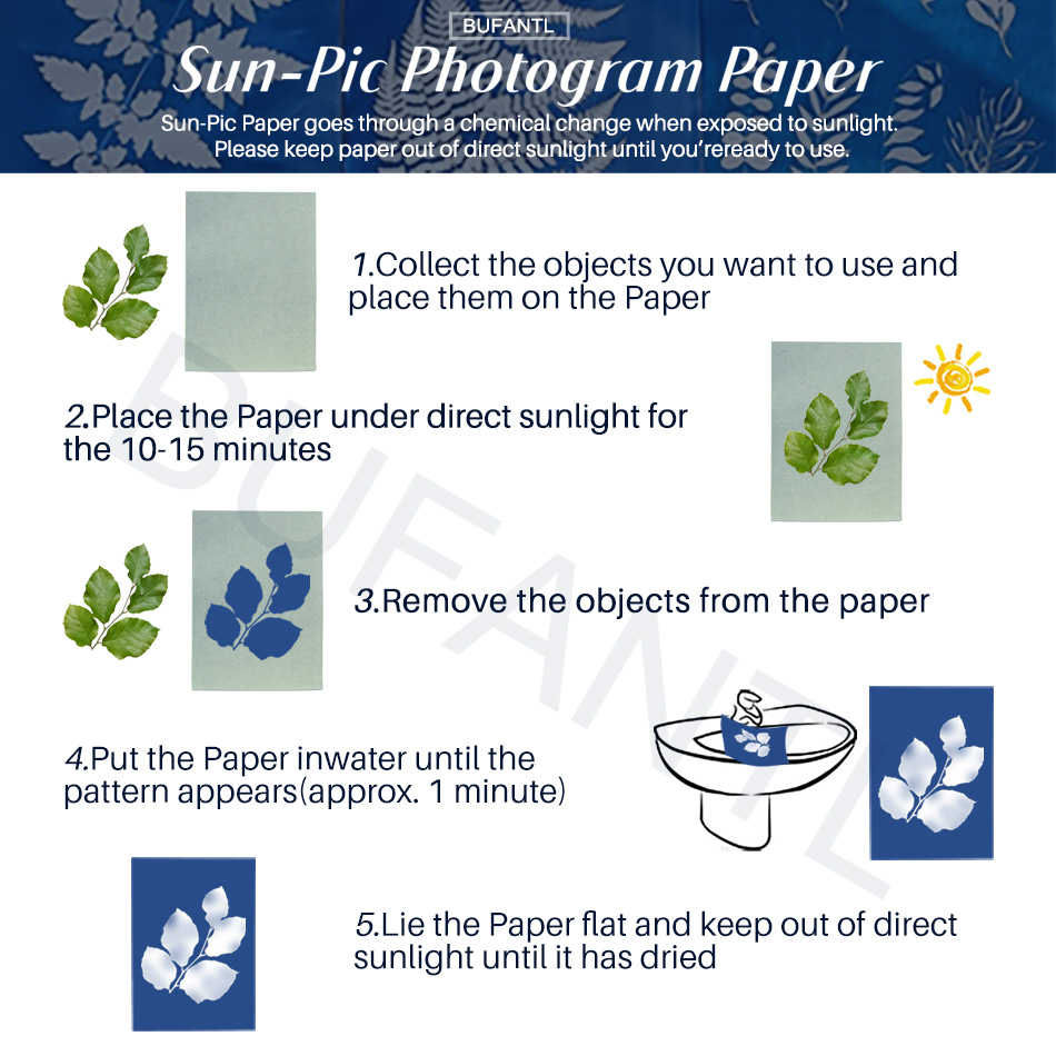 Papel Cianótipo 12 Folhas Paco - Lighting In Photography For Beginners avaliação e preço